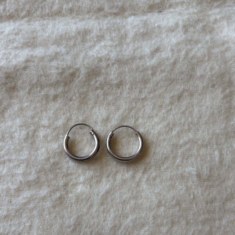 Elegant Silver Hoop Earrings